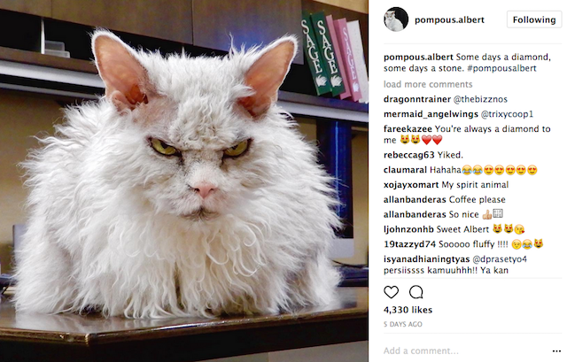 Pompus Albert Scary Eyes