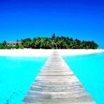 Toyota Continues Program Supporting International Teacher Fellowship