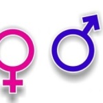 Why Women Are Better Drivers (Or Are They?)