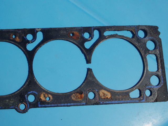 Blown head gasket Blown head gasket