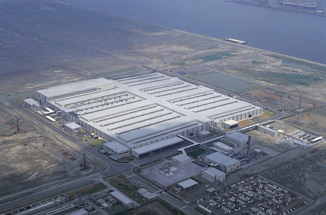 Supra Plant Supra Plant