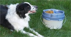 Pet lunchbox Pet lunchbox