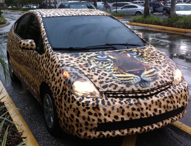 Prius leopard Prius leopard