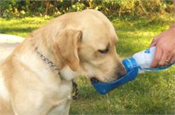 Pet water bottle Pet water bottle