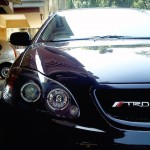 Corollas Can be Cool Too!