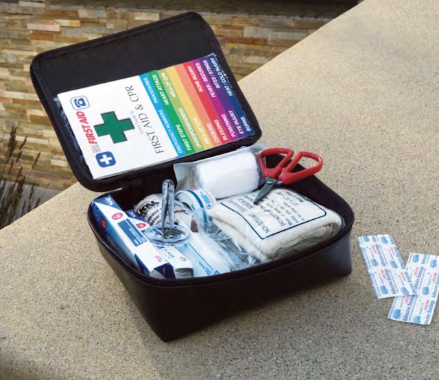 Toyota Camry first aid kit PT420-03023 Toyota Camry first aid kit PT420-03023