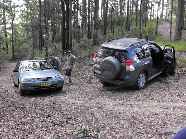 Camry offroad woods Camry offroad woods