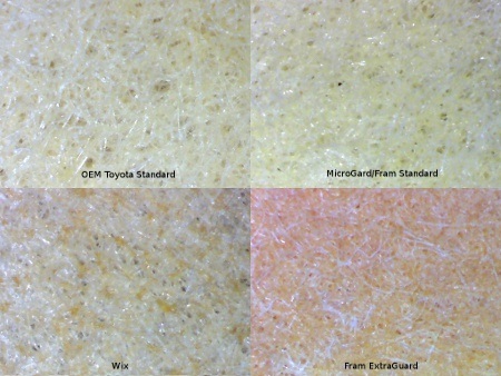 Filter medium at 40x magnification