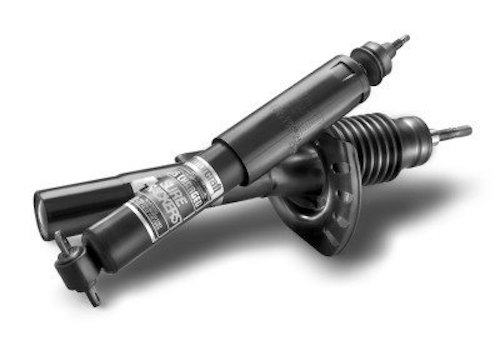 Shocks struts