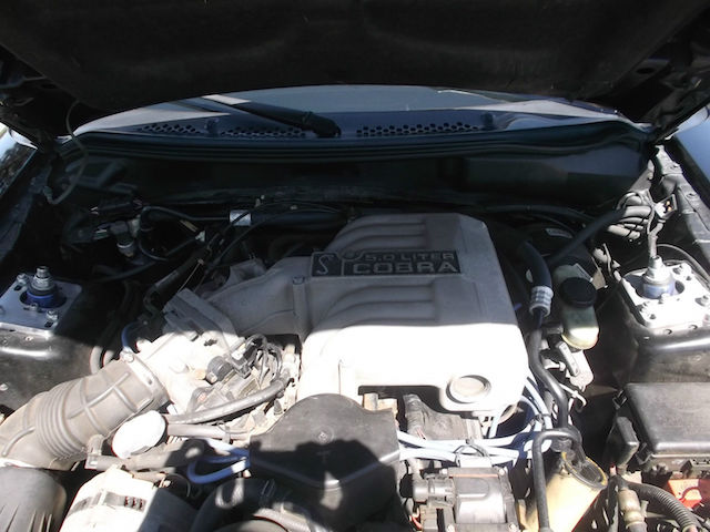 95 Mustang feature 6