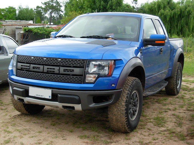 Blue grille raptor
