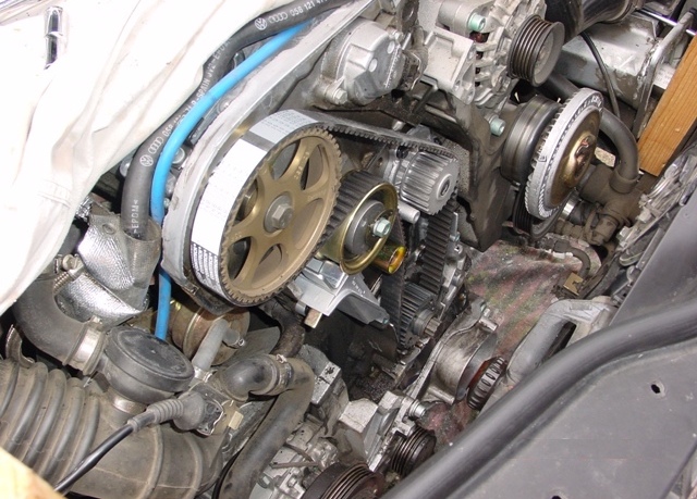 Beetle engine