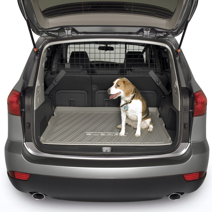 Subaru pet gate