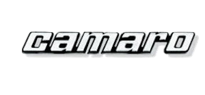 Camaro badge 1979 Camaro badge 1979