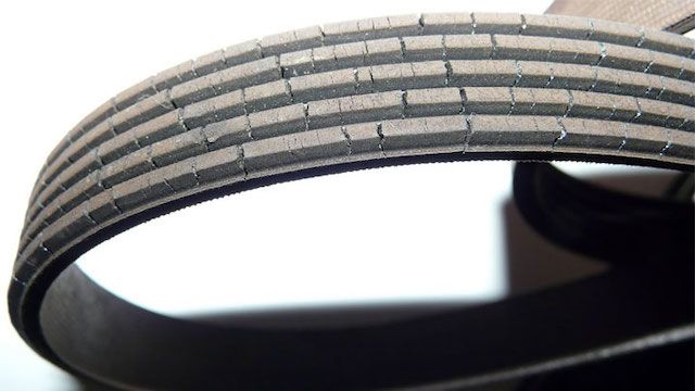 cracked belt cracked belt