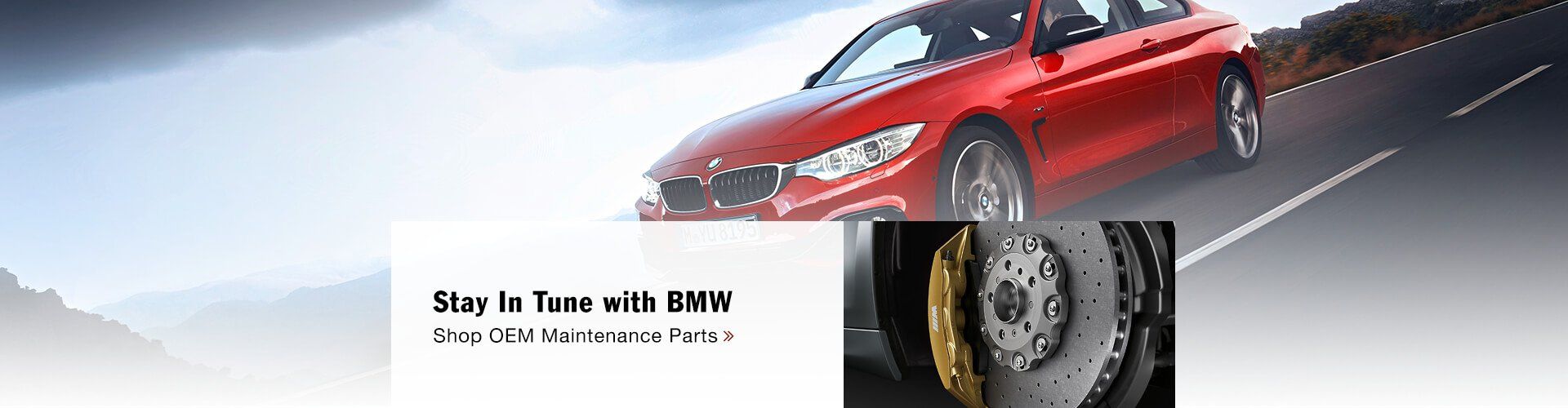 OEM BMW Maintenance Parts