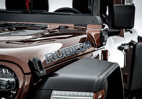 JEEP Birdcage front left angle