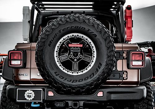JEEP Birdcage front view