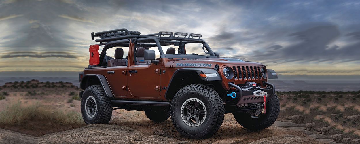 Jeep Birdcage