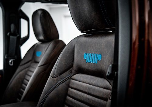JEEP Birdcage interior view