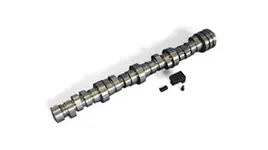 Camshafts & Lifters