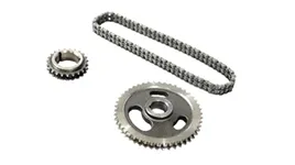 Timing Chains & Belts