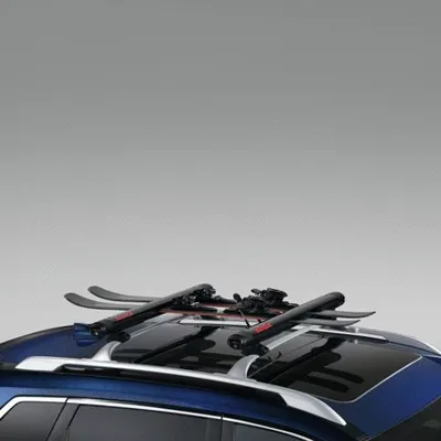 Affiliated: Yakima® FatCat EVO 6 - Ski Carrier