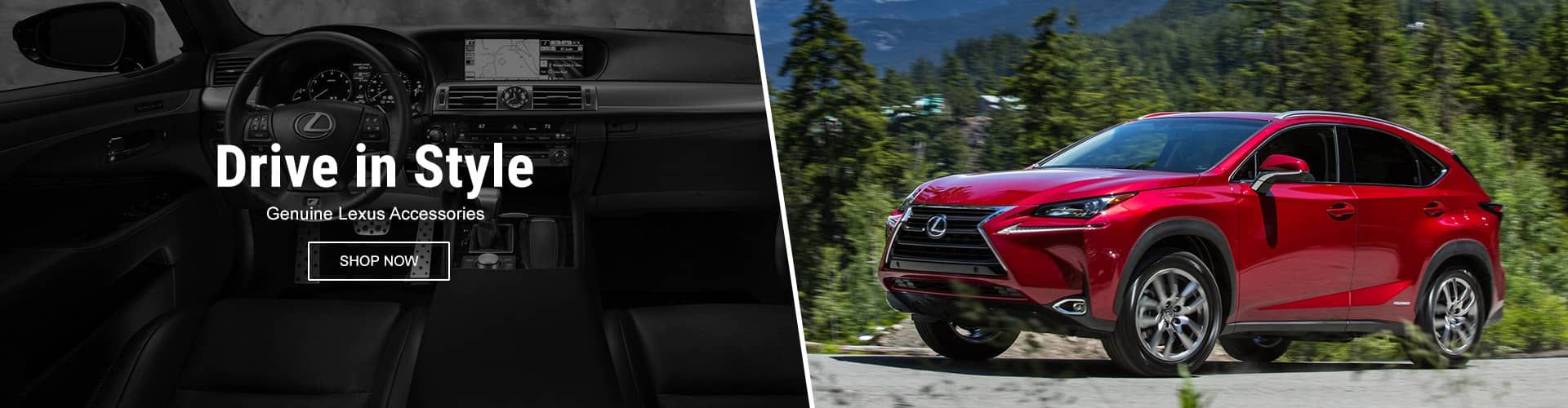 Lexus Cargo Accessories
