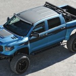 Video: Aphrodite Tundra Feature