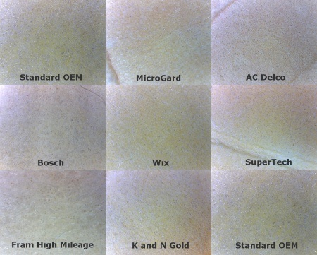 Filter medium at 40x magnification