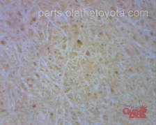 ACDelco Tacoma Oil Filter