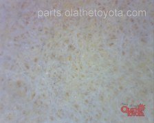 Bosch Tacoma Oil Filter