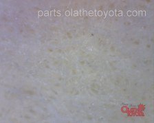 Fram High Mileage Tacoma Oil Filter