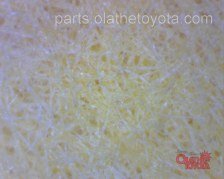 K&N Tacoma Oil Filter