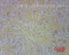 Standard OEM Tacoma Oil Filter