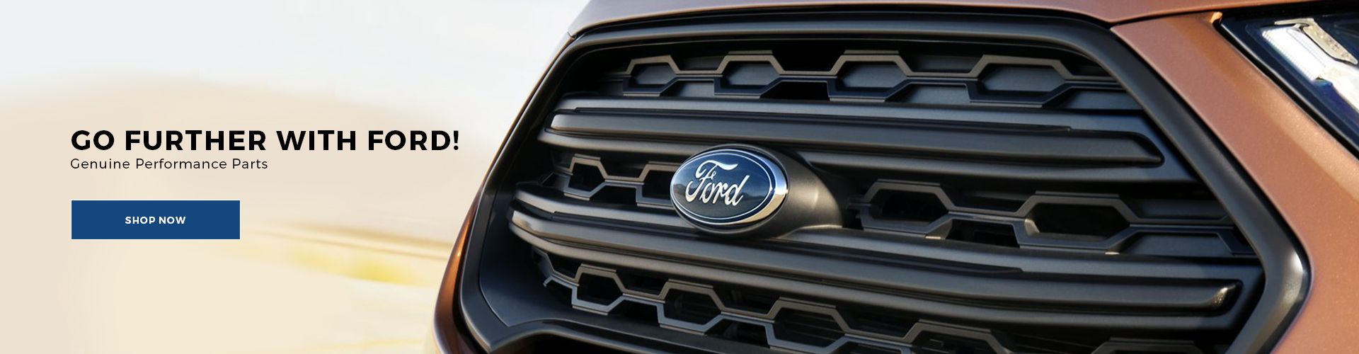 FordPartsPros.com Banner 2