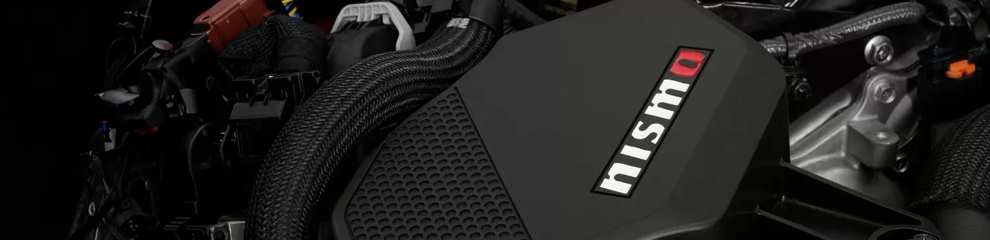 Nissan Air Intake & Fuel Delivery Banner