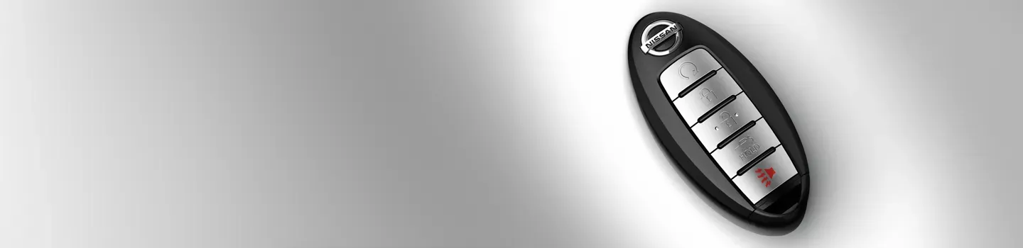 Nissan Electronics Banner