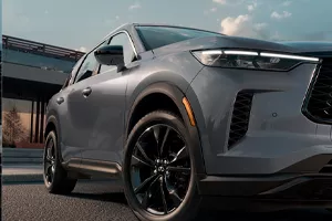 Nissan Step Rails Image