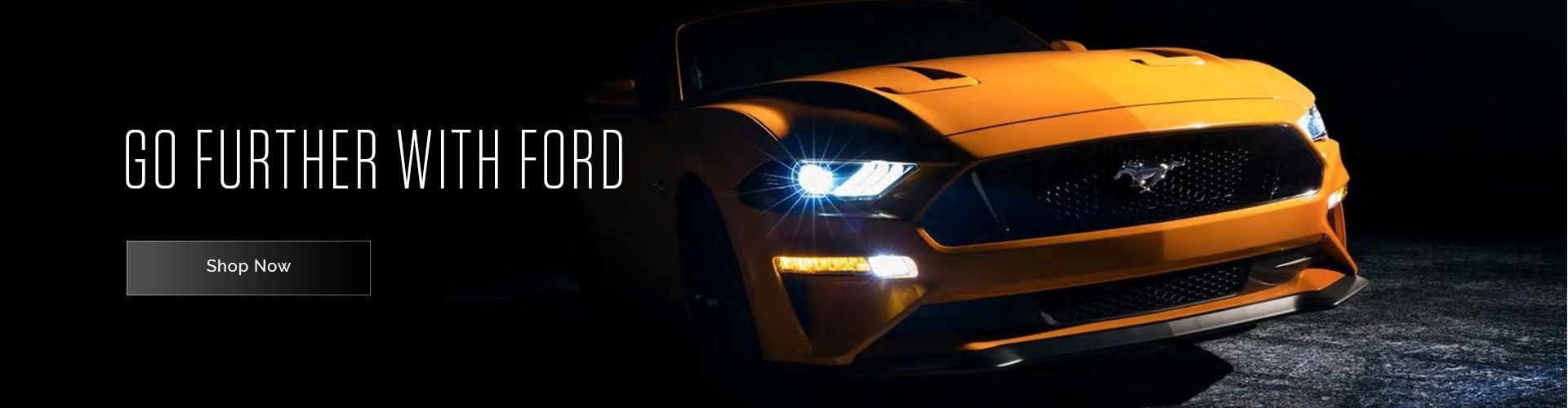 Interstate Ford Parts Banner 3