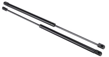 GM lift supports GM lift supports