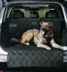 Nissan Pet Accessories