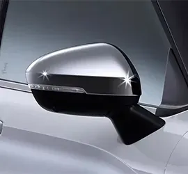 Mitsubishi Mirror Covers