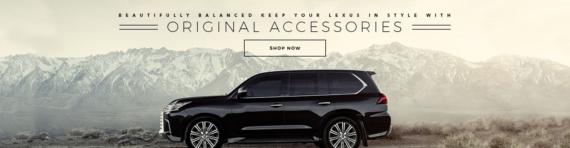 OEM Accessories