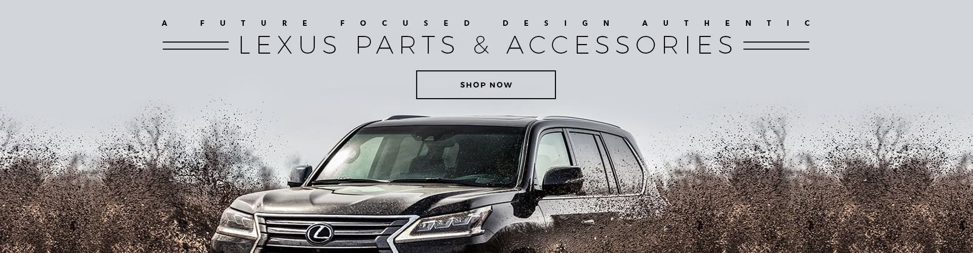 OEM Accessories