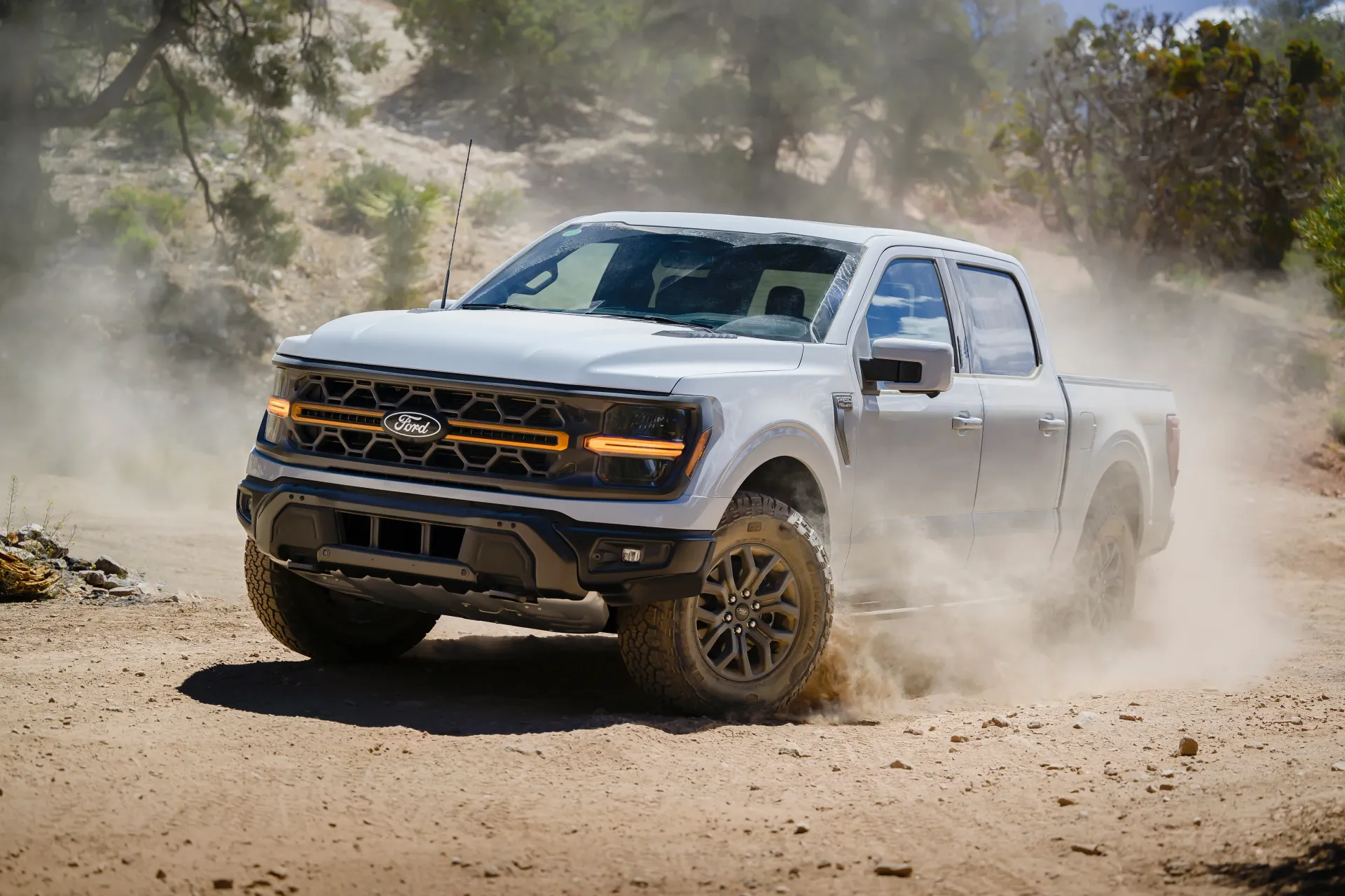 Ford F-150 Dirty Ford F-150 Dirty