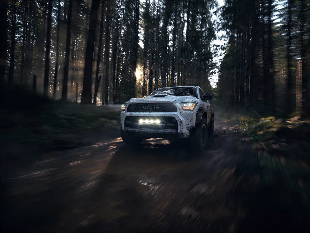 4Runner in the woods 4Runner in the woods