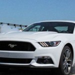 Mustang Burnout
