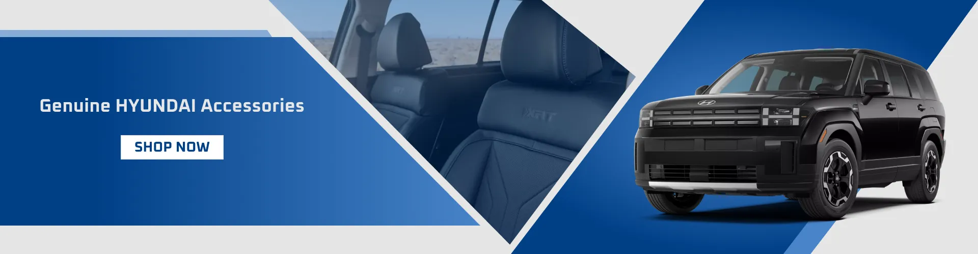 Hyundai Access Banner 3
