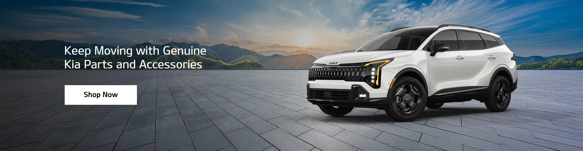Kia Parts Authority Banner 2